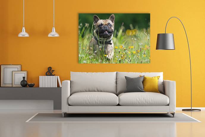 Hond op canvas